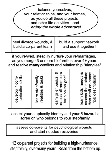 graphic summary of 12 co-parent projects 